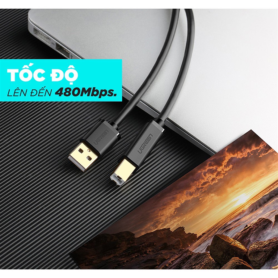 Dây, Cáp USB 2.0 máy in 3m Ugreen 10351 đầu cáp mạ