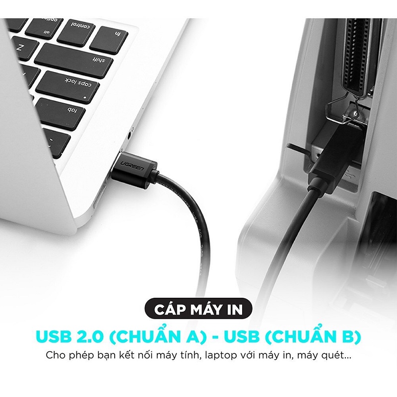 Dây, Cáp USB 2.0 máy in 3m Ugreen 10351 đầu cáp mạ