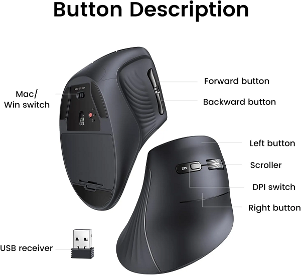 UGREEN 25444 Chuột dọc Bluetooth 5.0 4000DPI 2.4G cao cấp